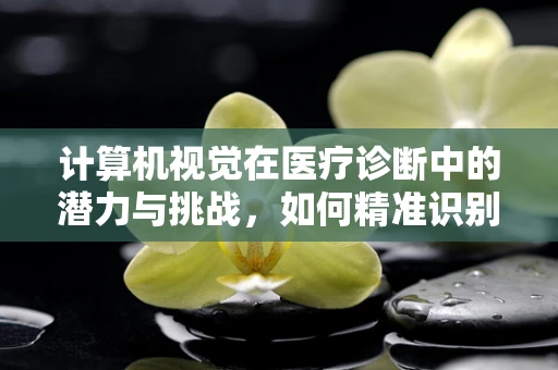 计算机视觉在医疗诊断中的潜力与挑战，如何精准识别病理图像？