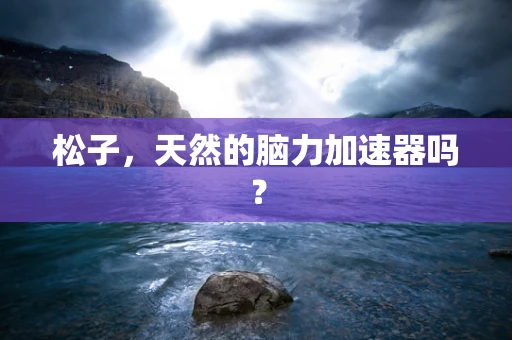 松子，天然的脑力加速器吗？