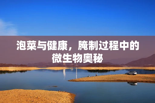 泡菜与健康，腌制过程中的微生物奥秘