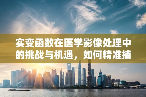 实变函数在医学影像处理中的挑战与机遇，如何精准捕捉微小病变？