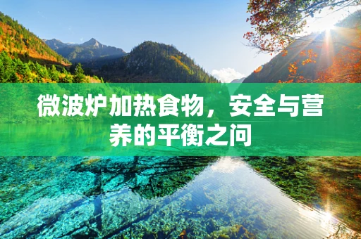 微波炉加热食物，安全与营养的平衡之问