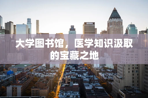 大学图书馆，医学知识汲取的宝藏之地