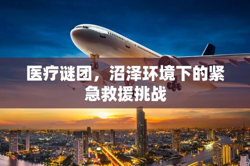 医疗谜团，沼泽环境下的紧急救援挑战