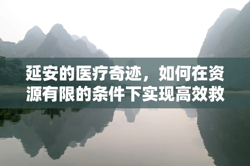 延安的医疗奇迹，如何在资源有限的条件下实现高效救治？