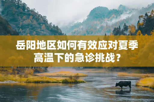 岳阳地区如何有效应对夏季高温下的急诊挑战？