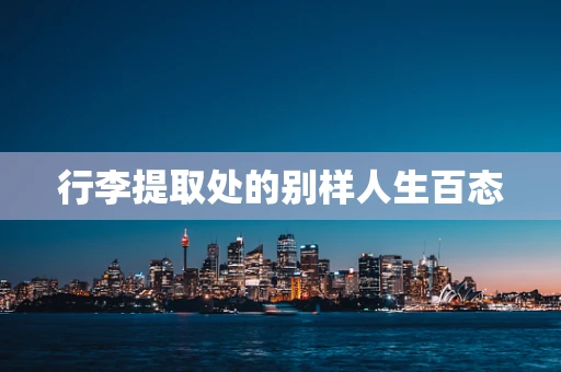 行李提取处的别样人生百态