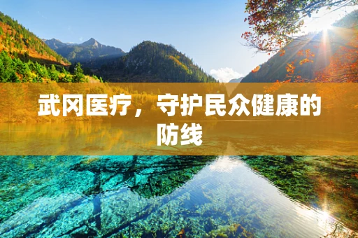 武冈医疗，守护民众健康的防线