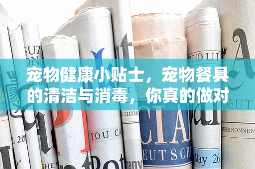 宠物健康小贴士，宠物餐具的清洁与消毒，你真的做对了吗？