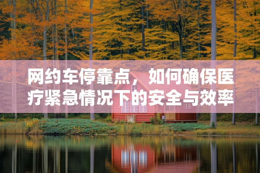 网约车停靠点，如何确保医疗紧急情况下的安全与效率？
