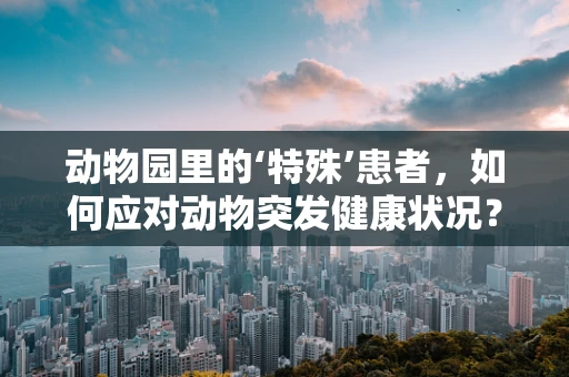 动物园里的‘特殊’患者，如何应对动物突发健康状况？