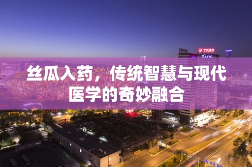 丝瓜入药，传统智慧与现代医学的奇妙融合