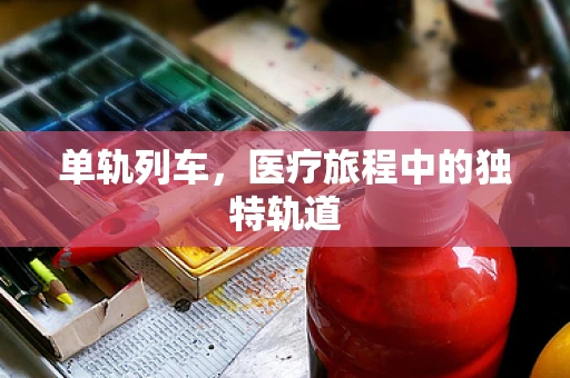 单轨列车，医疗旅程中的独特轨道