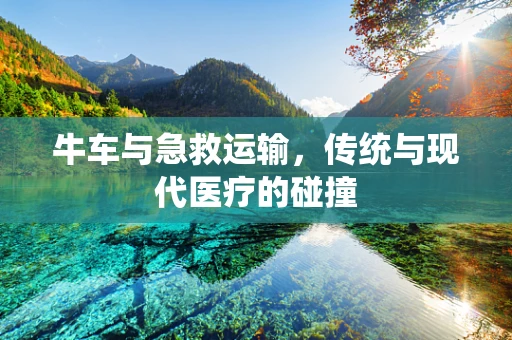 牛车与急救运输，传统与现代医疗的碰撞