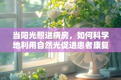 当阳光照进病房，如何科学地利用自然光促进患者康复？