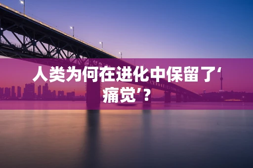 人类为何在进化中保留了‘痛觉’？