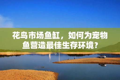 花鸟市场鱼缸，如何为宠物鱼营造最佳生存环境？