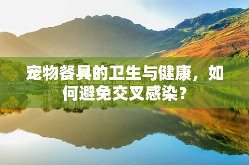 宠物餐具的卫生与健康，如何避免交叉感染？