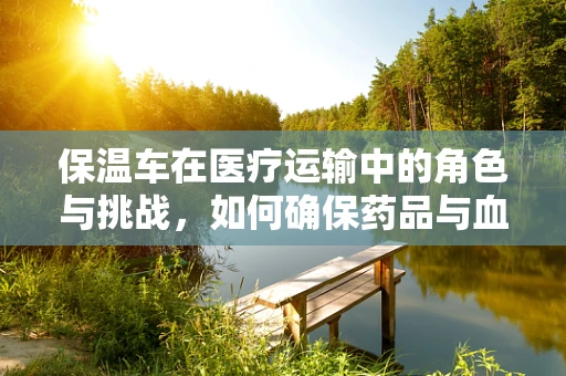 保温车在医疗运输中的角色与挑战，如何确保药品与血液制品的安全送达？