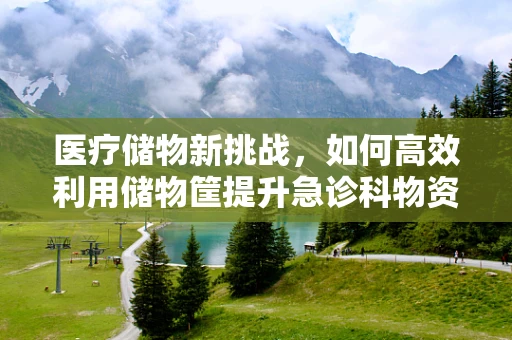 医疗储物新挑战，如何高效利用储物筐提升急诊科物资管理？