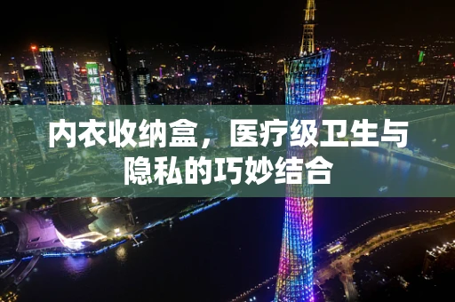 内衣收纳盒，医疗级卫生与隐私的巧妙结合