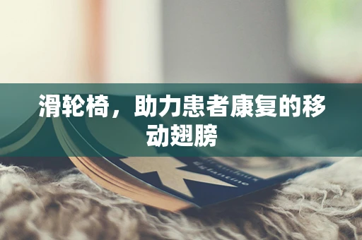 滑轮椅，助力患者康复的移动翅膀