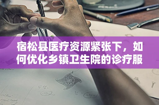 宿松县医疗资源紧张下，如何优化乡镇卫生院的诊疗服务？