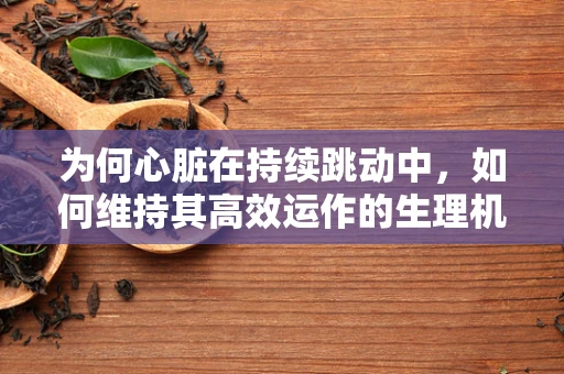 为何心脏在持续跳动中，如何维持其高效运作的生理机制？