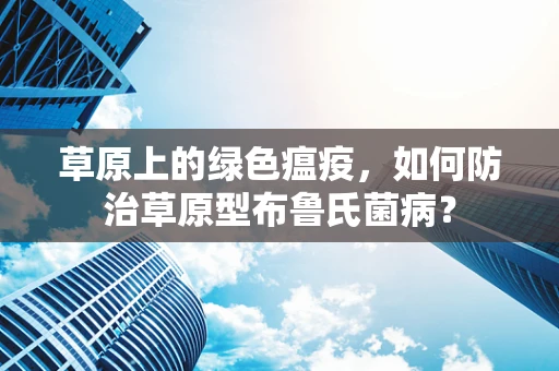 草原上的绿色瘟疫，如何防治草原型布鲁氏菌病？