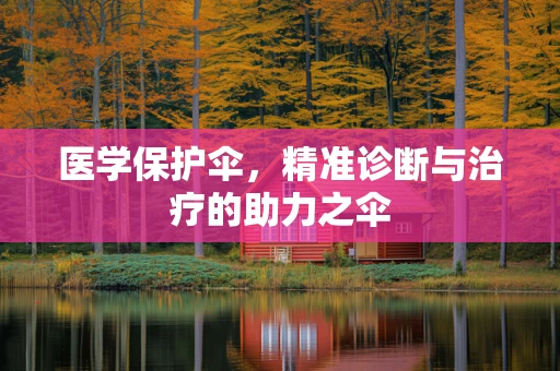 医学保护伞，精准诊断与治疗的助力之伞