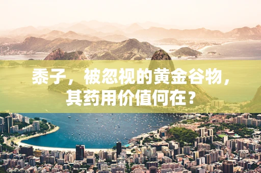 黍子，被忽视的黄金谷物，其药用价值何在？