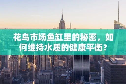 花鸟市场鱼缸里的秘密，如何维持水质的健康平衡？