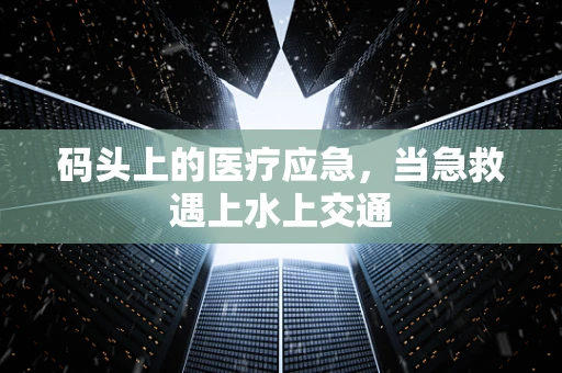 码头上的医疗应急，当急救遇上水上交通