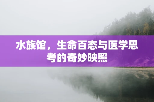 水族馆，生命百态与医学思考的奇妙映照
