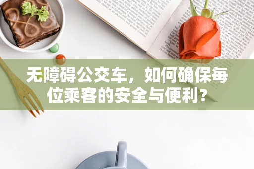 无障碍公交车，如何确保每位乘客的安全与便利？