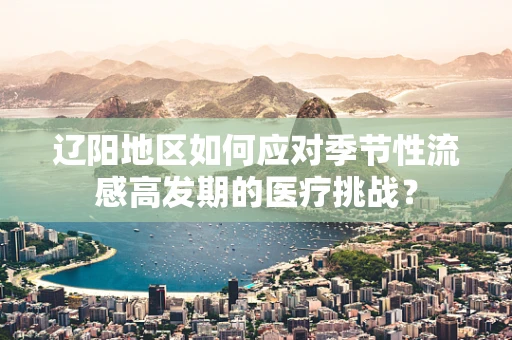 辽阳地区如何应对季节性流感高发期的医疗挑战？