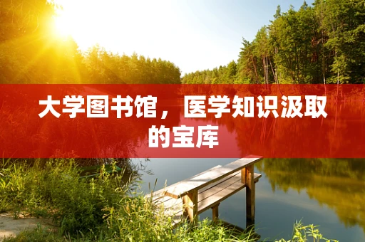 大学图书馆，医学知识汲取的宝库