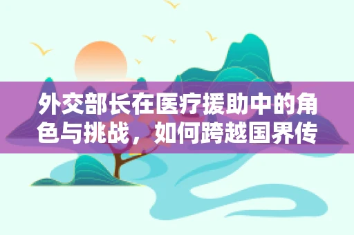 外交部长在医疗援助中的角色与挑战，如何跨越国界传递健康？