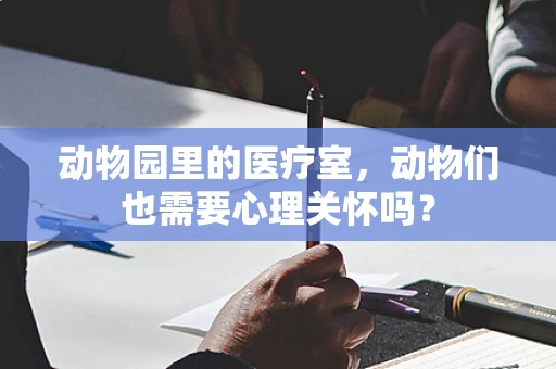动物园里的医疗室，动物们也需要心理关怀吗？