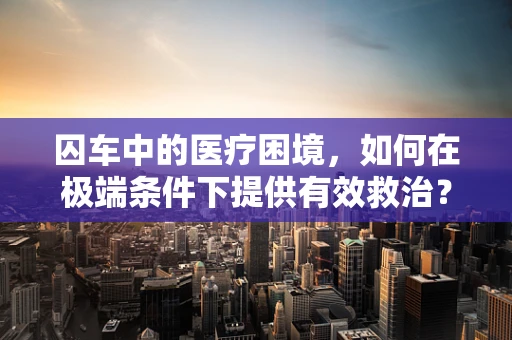 囚车中的医疗困境，如何在极端条件下提供有效救治？