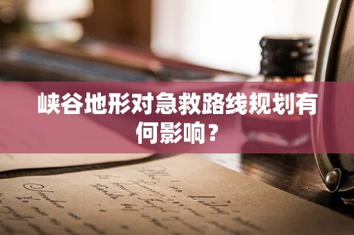 峡谷地形对急救路线规划有何影响？