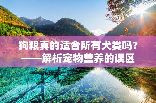狗粮真的适合所有犬类吗？——解析宠物营养的误区
