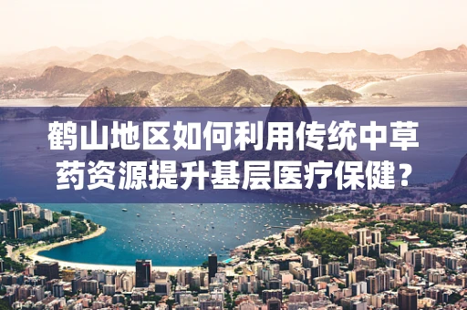 鹤山地区如何利用传统中草药资源提升基层医疗保健？
