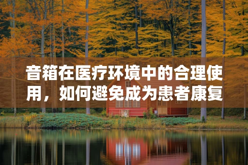 音箱在医疗环境中的合理使用，如何避免成为患者康复的干扰因素？