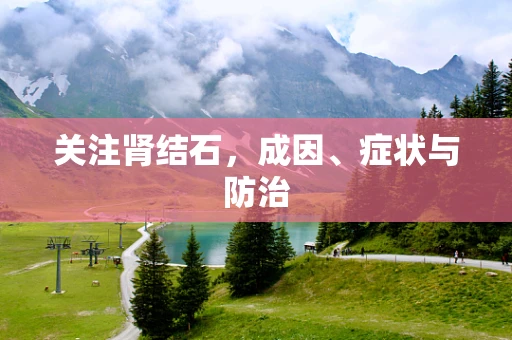 关注肾结石，成因、症状与防治