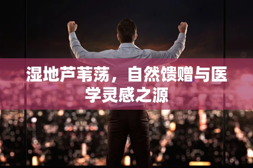 湿地芦苇荡，自然馈赠与医学灵感之源