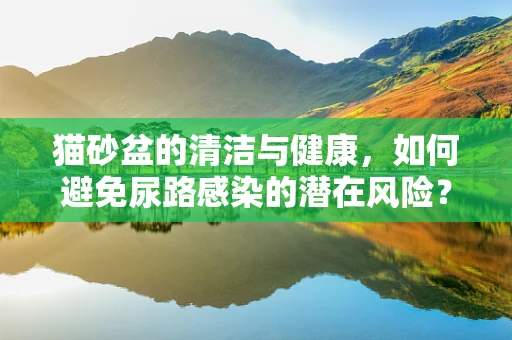 猫砂盆的清洁与健康，如何避免尿路感染的潜在风险？