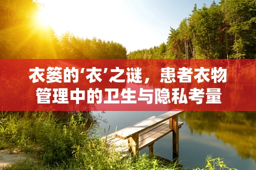 衣篓的‘衣’之谜，患者衣物管理中的卫生与隐私考量