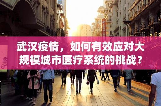 武汉疫情，如何有效应对大规模城市医疗系统的挑战？