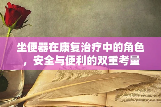 坐便器在康复治疗中的角色，安全与便利的双重考量
