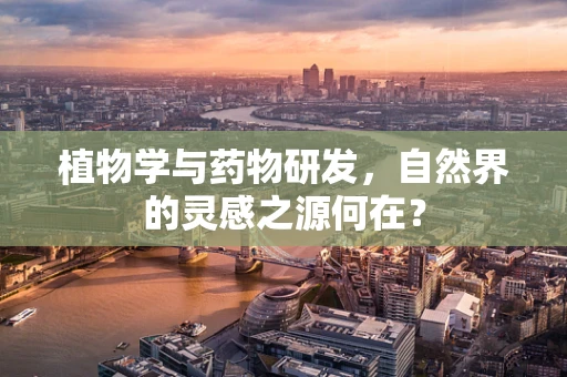 植物学与药物研发，自然界的灵感之源何在？